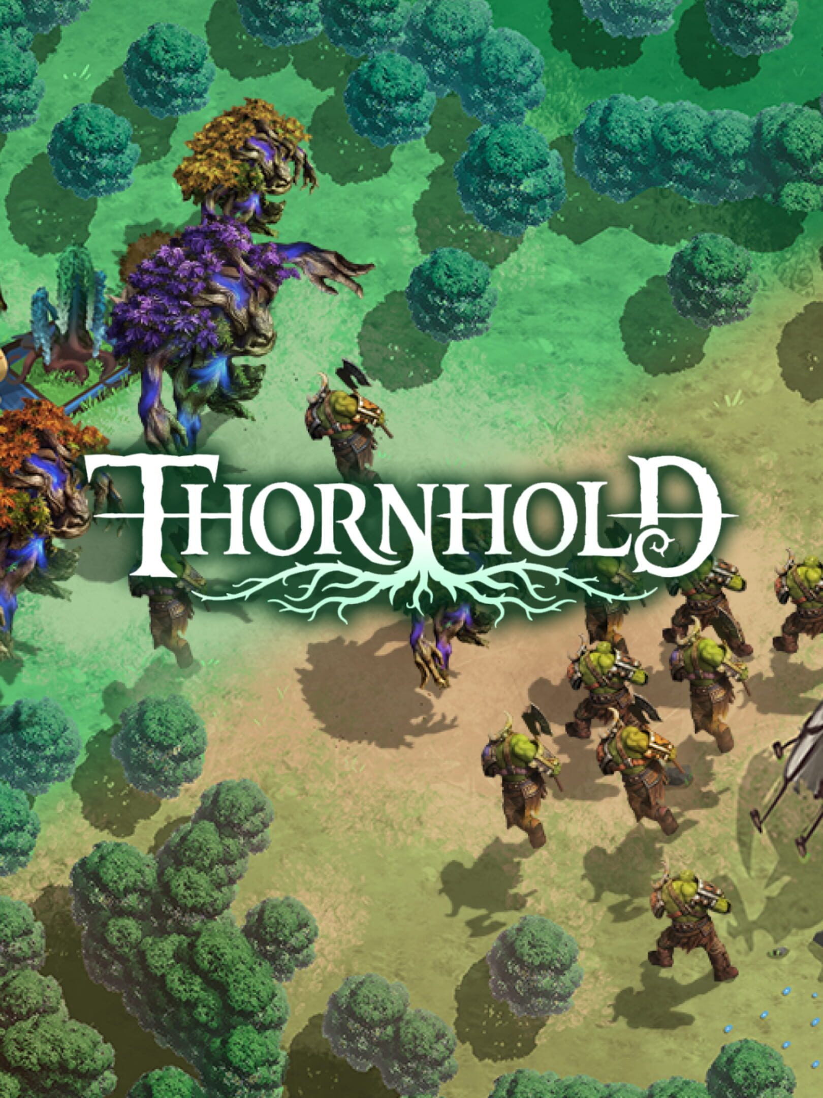 Thornhold cover