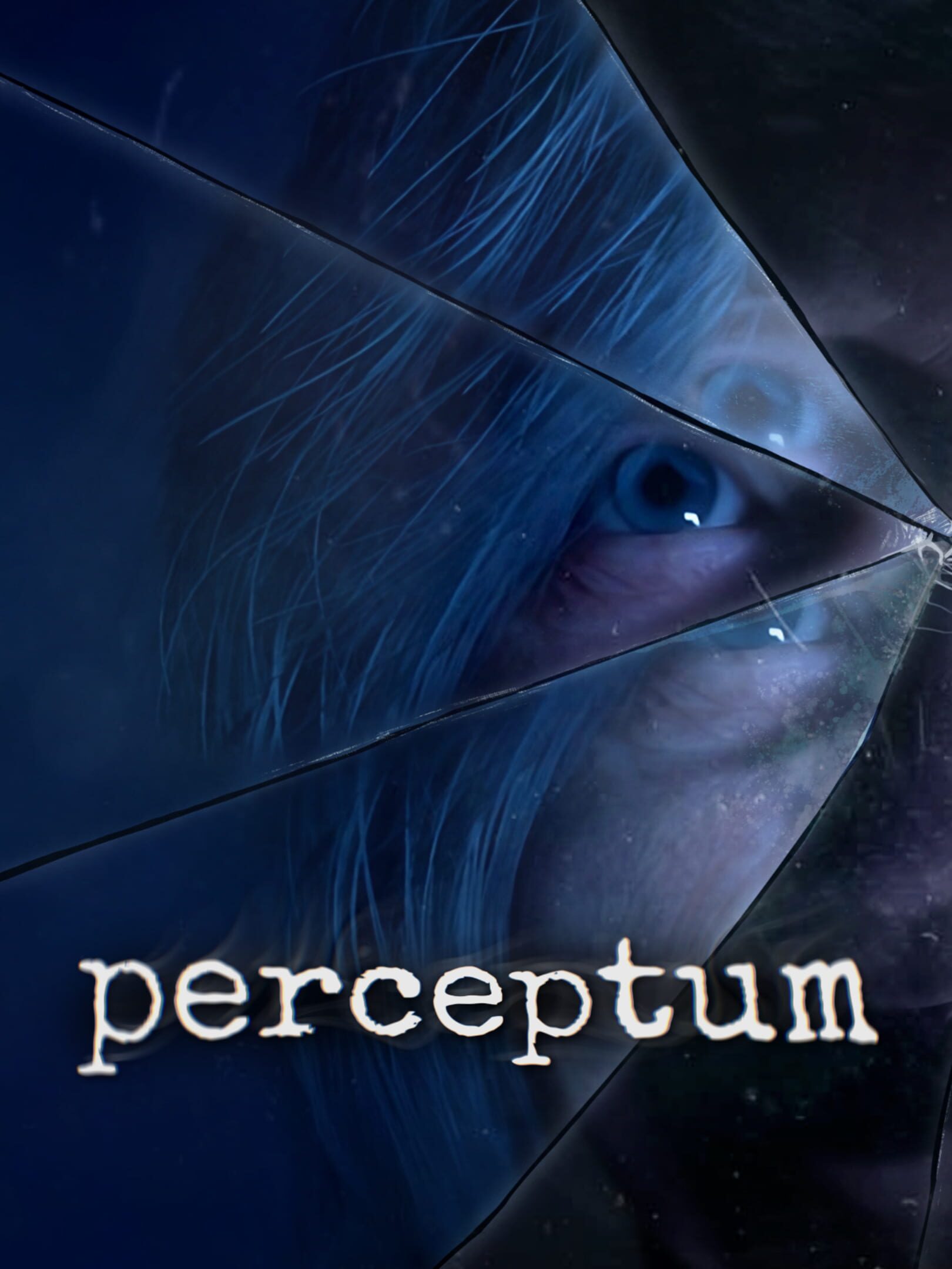 Perceptum cover