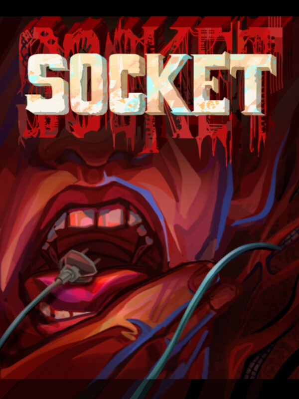 Socket cover