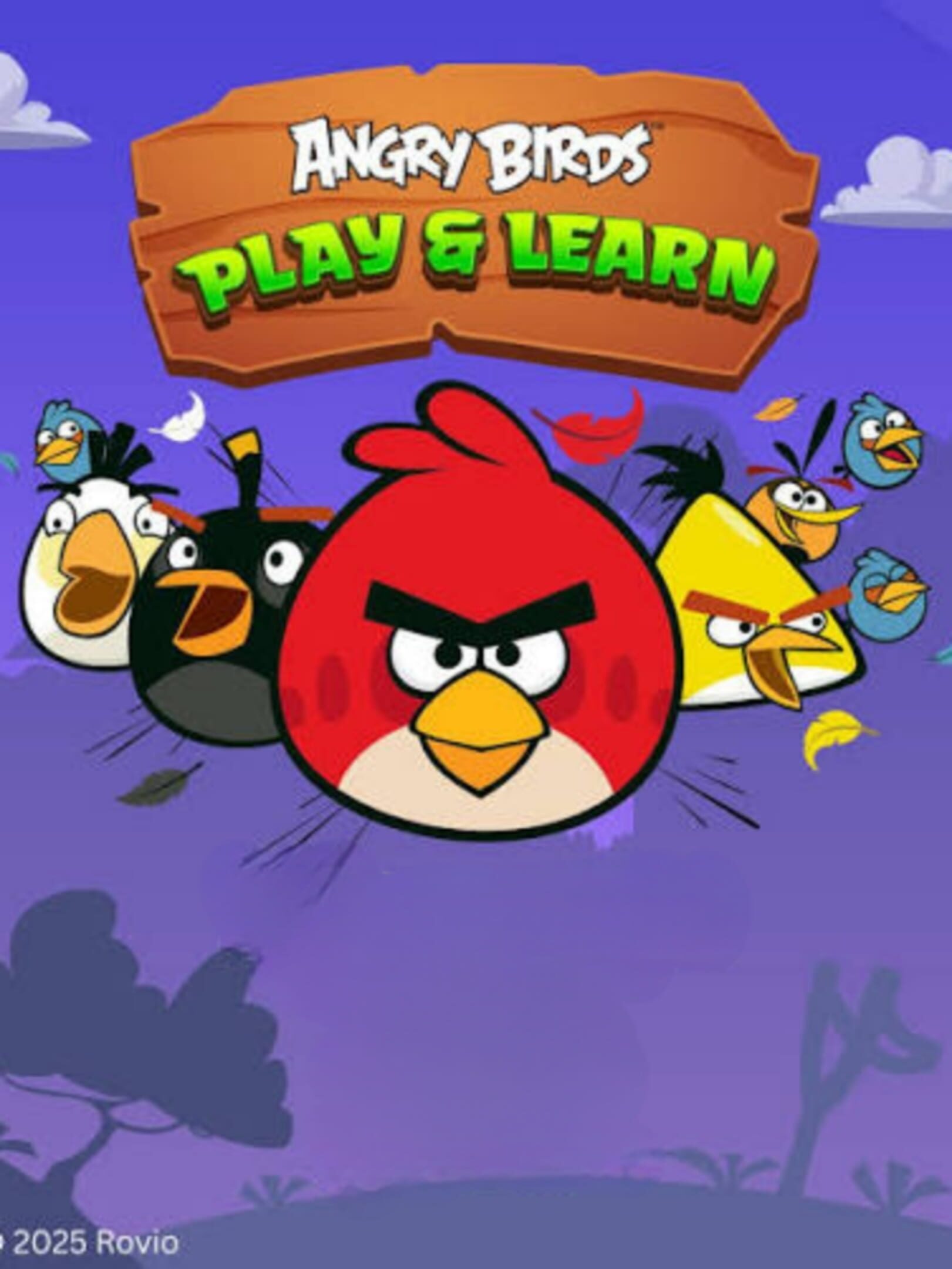 Angry Birds: Play & Learn cover