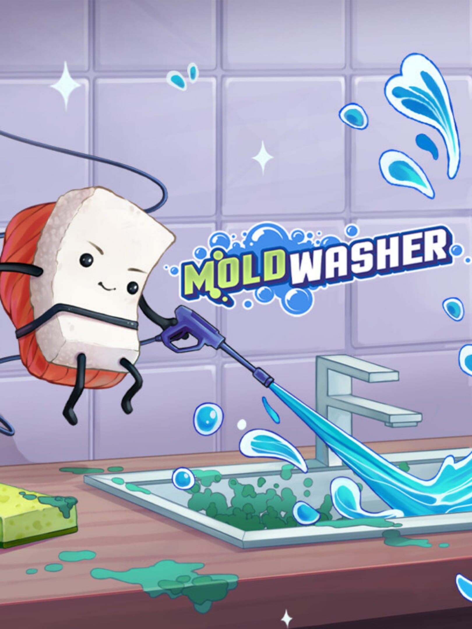 Moldwasher cover