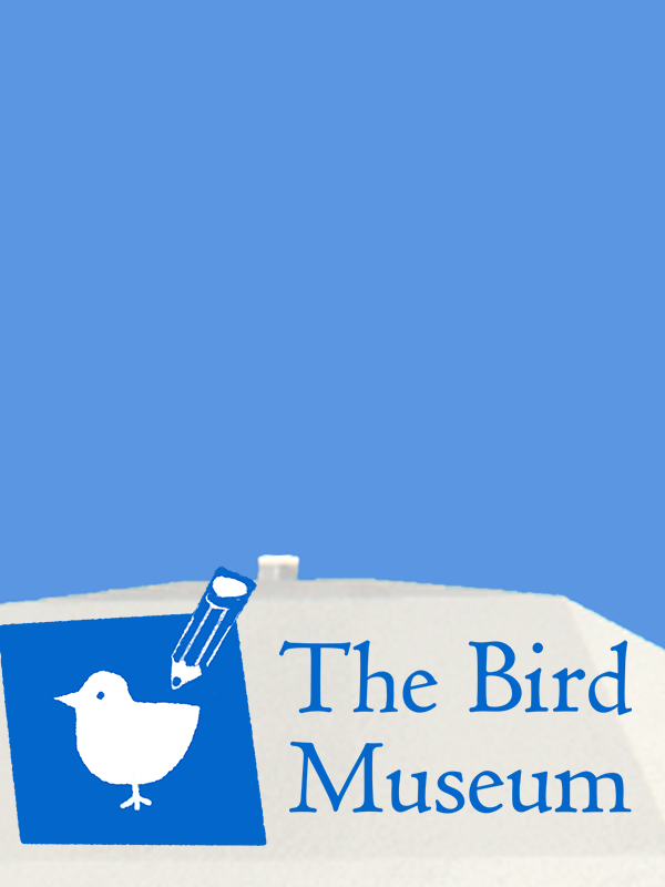 The Bird Museum cover
