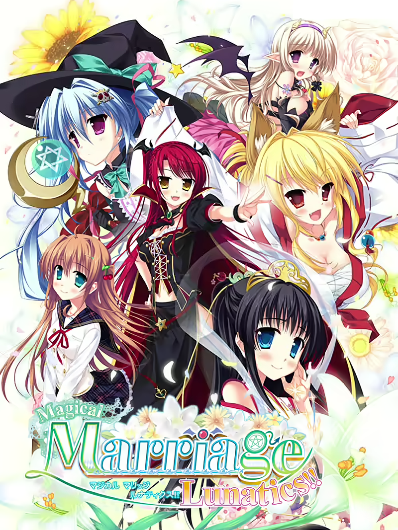 Magical Marriage Lunatics!! cover