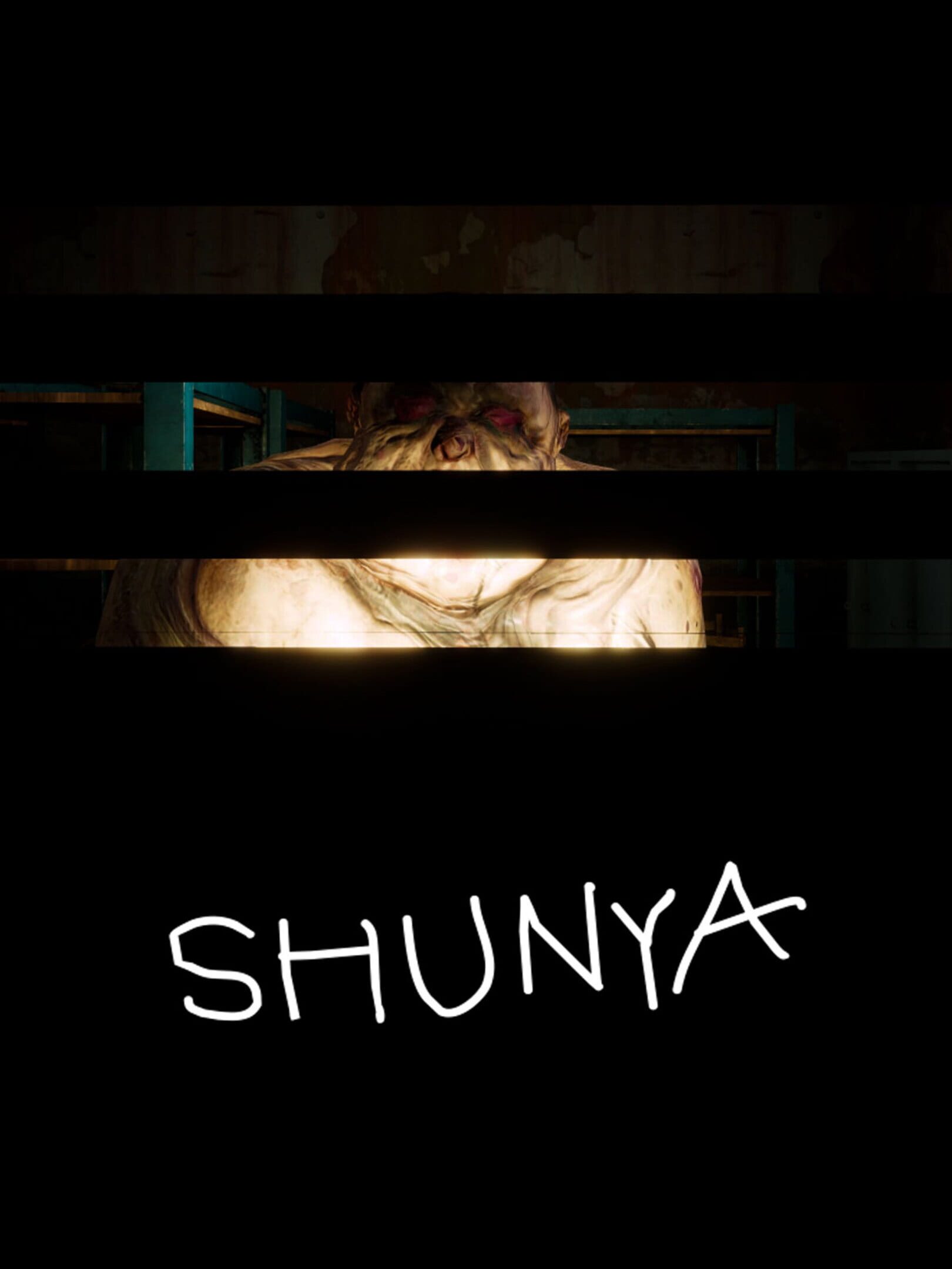 Shunya cover