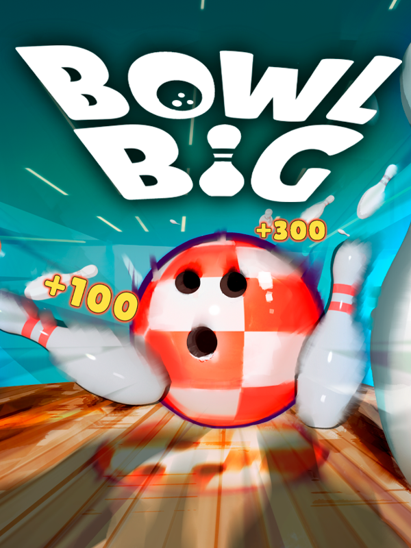 Bowl Big cover
