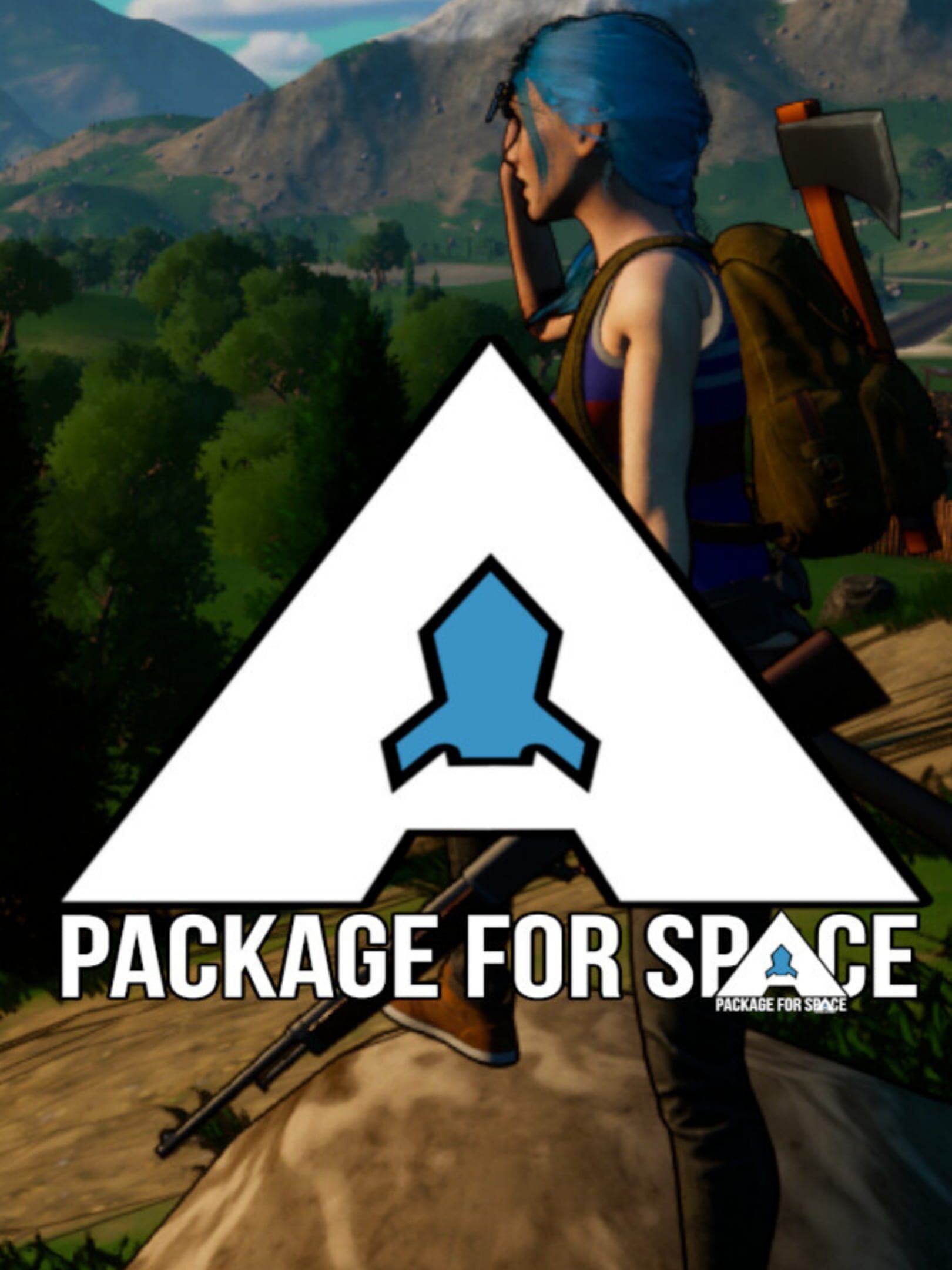 A Package for Space cover