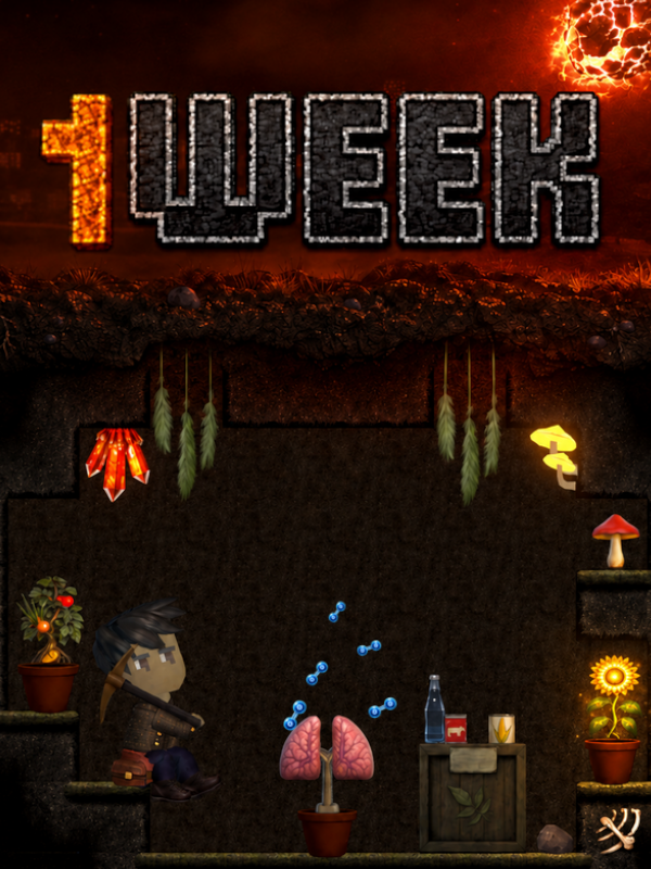 1Week cover
