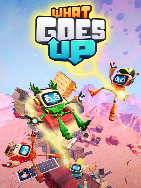 What Goes Up cover