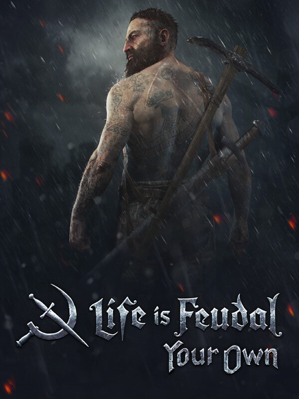 Life is Feudal: Your Own cover