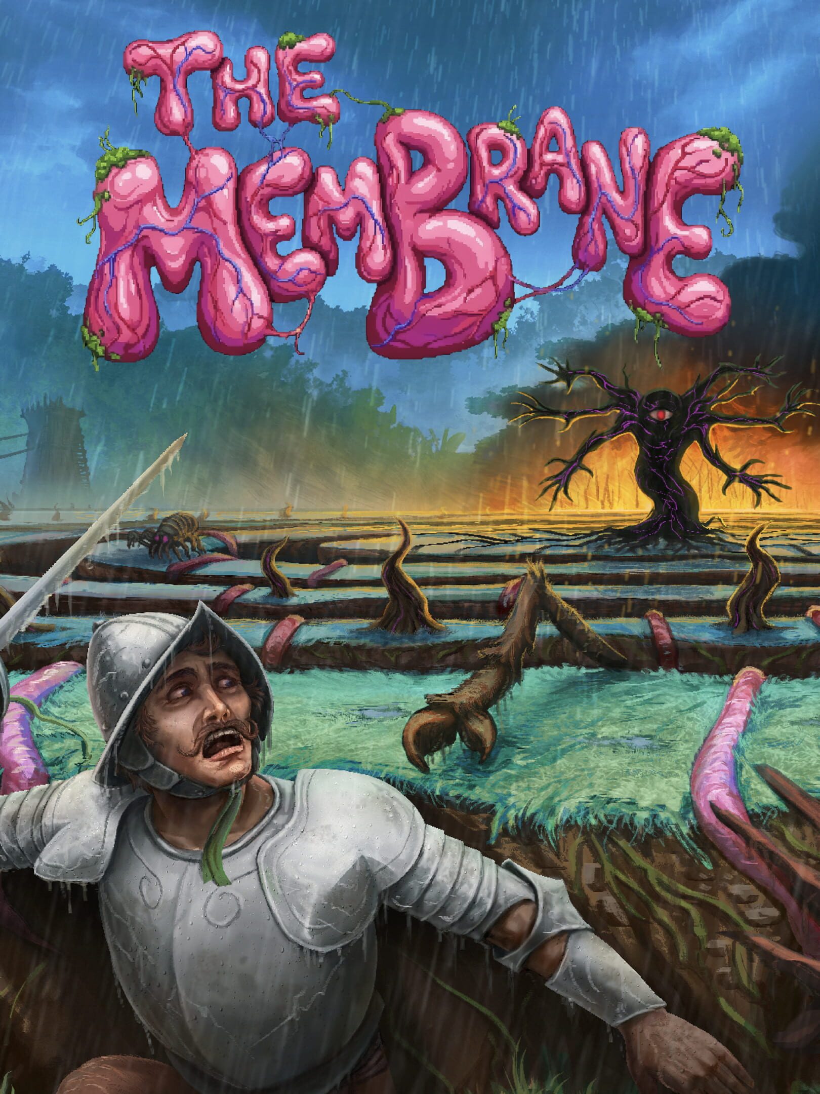 The Membrane cover