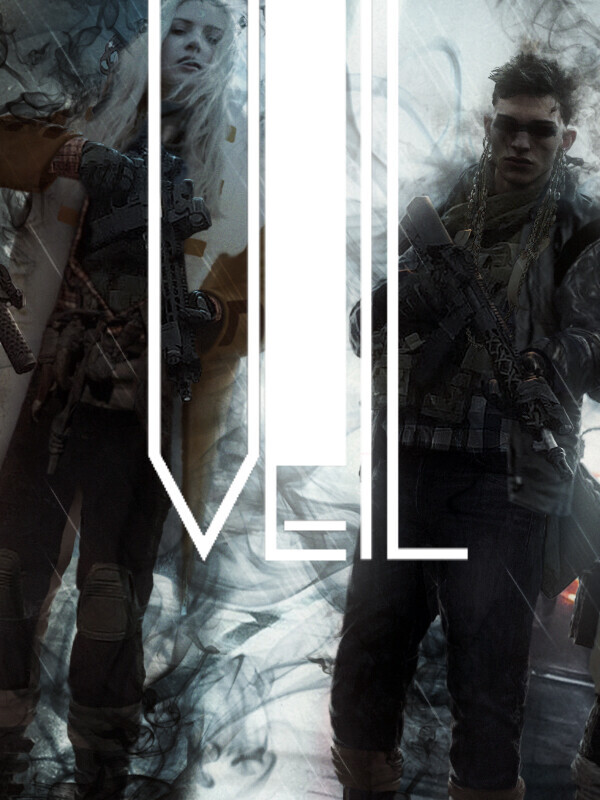 Veil cover