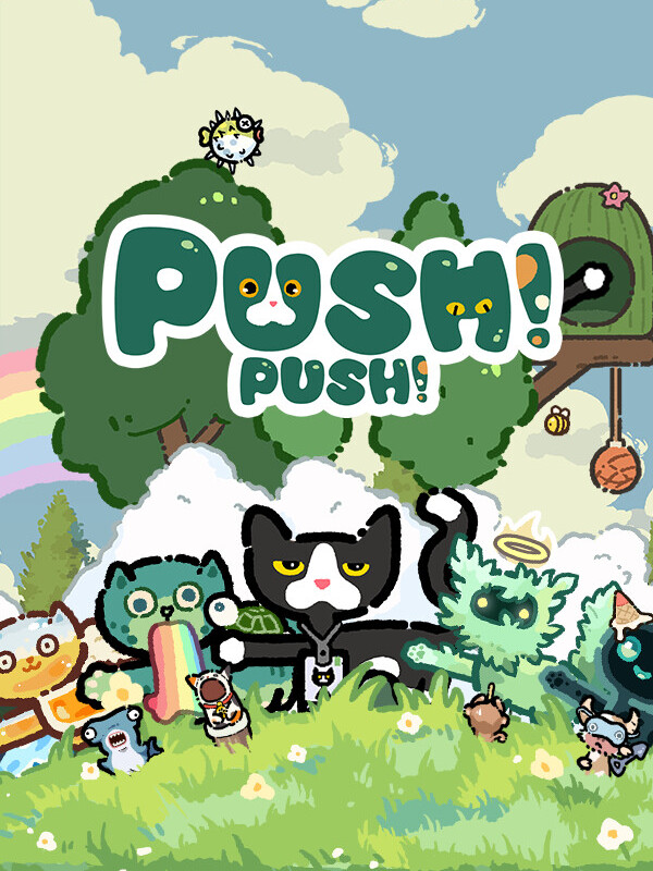 Push Push cover