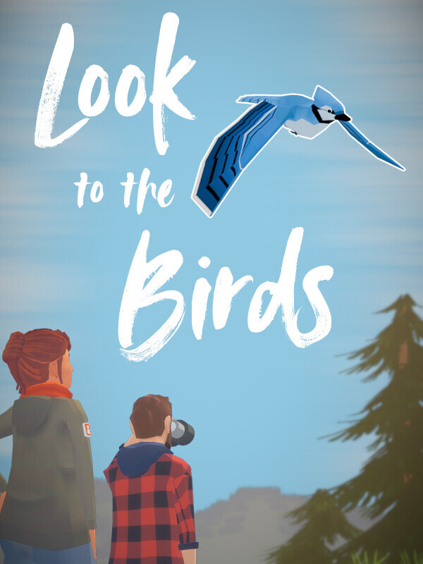 Look to the Birds cover