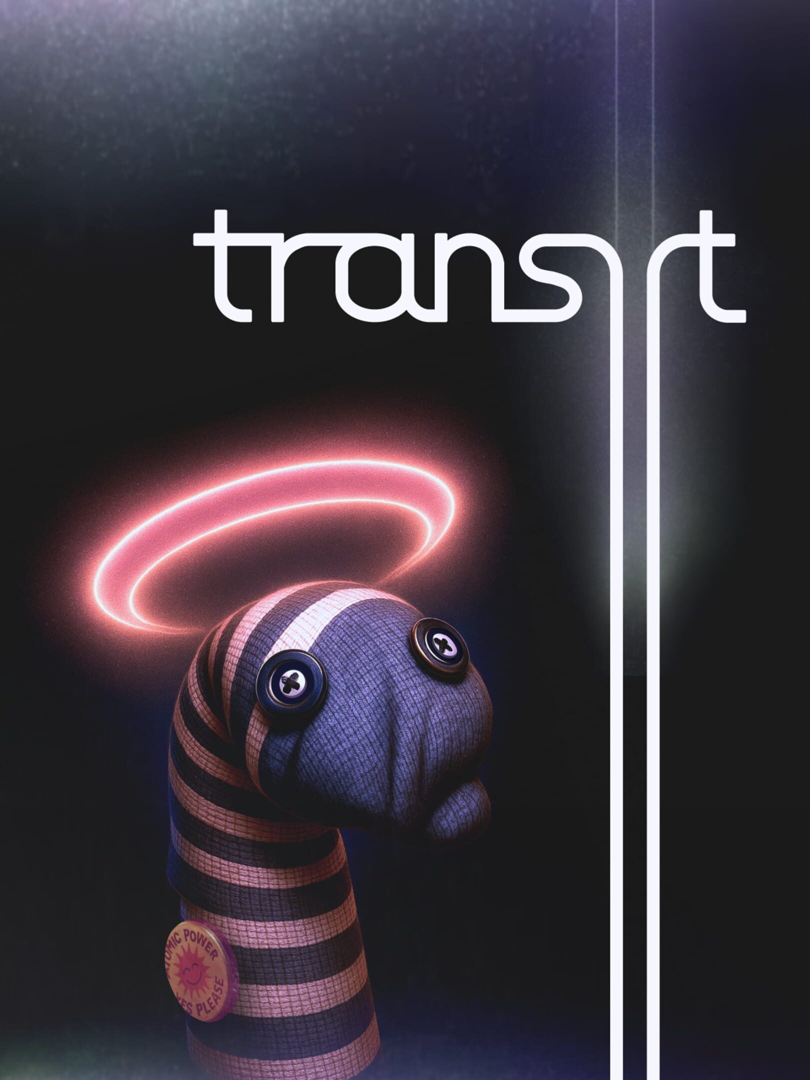 Transit cover