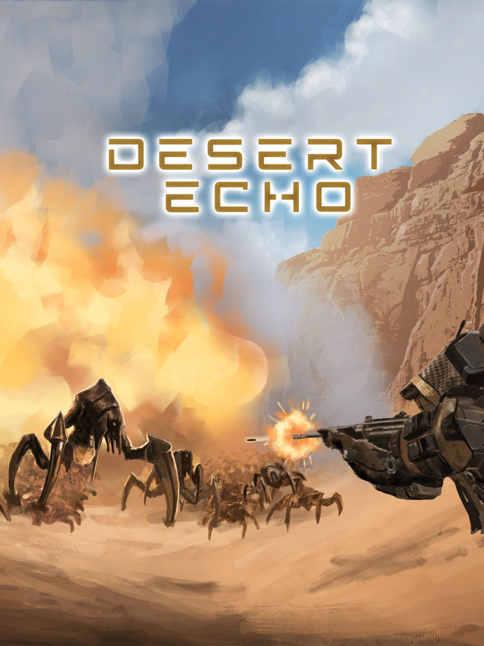 Desert Echo cover