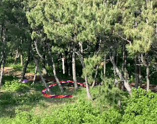 Being a Forest Snake Despite Rising Water Level cover