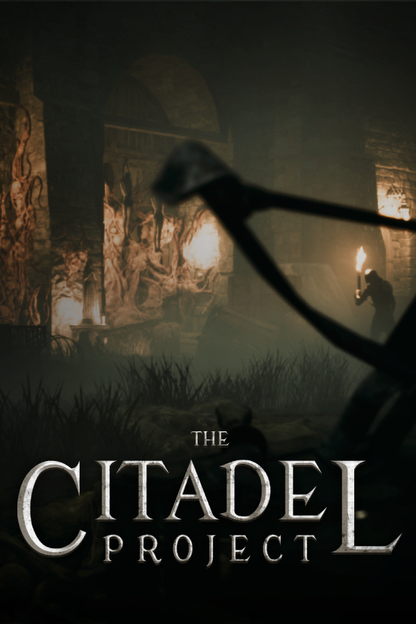 The Citadel Project cover
