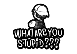 What Are You Stupid cover