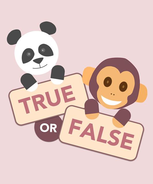 True or False wallpaper