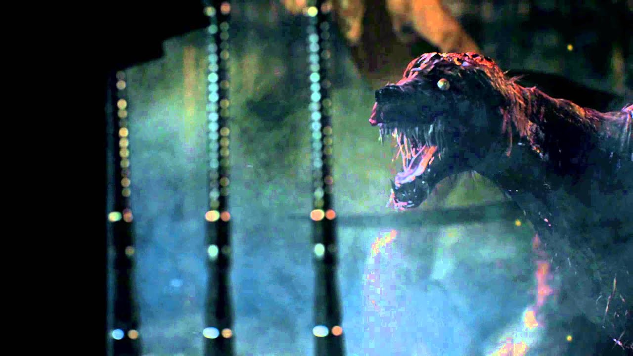 Video thumbnail Video thumbnail