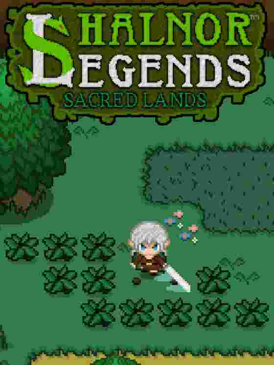 Shalnor Legends: Sacred Lands wallpaper